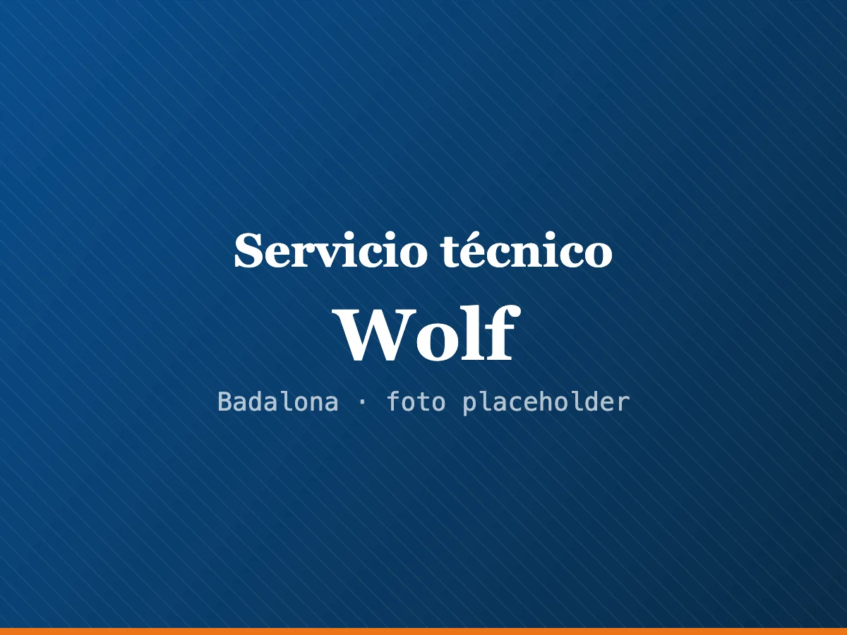 Servicio técnico de calderas Wolf en Badalona